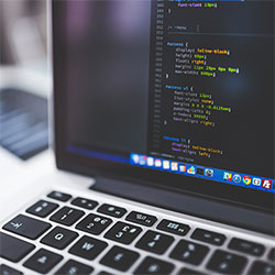 奇爱情人网：寻找真爱，从这里开始