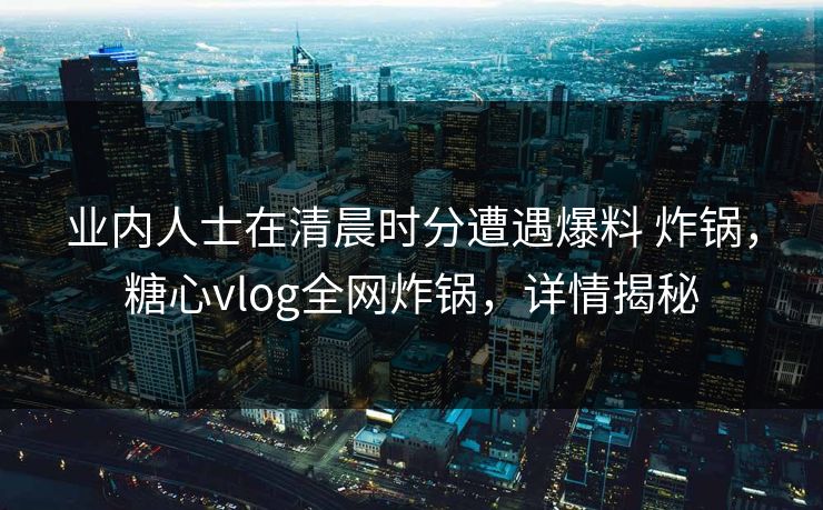 业内人士在清晨时分遭遇爆料 炸锅，糖心vlog全网炸锅，详情揭秘