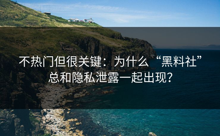 不热门但很关键：为什么“黑料社”总和隐私泄露一起出现？