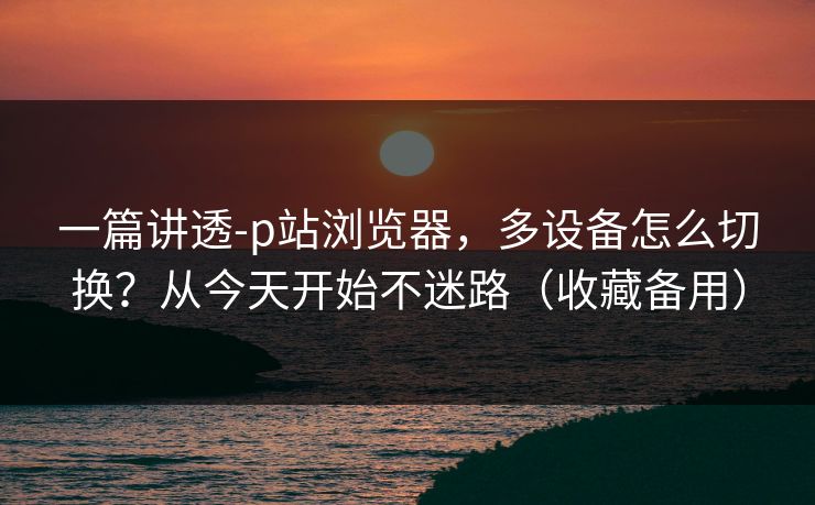 一篇讲透-p站浏览器，多设备怎么切换？从今天开始不迷路（收藏备用）